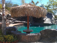 Palm Palapa